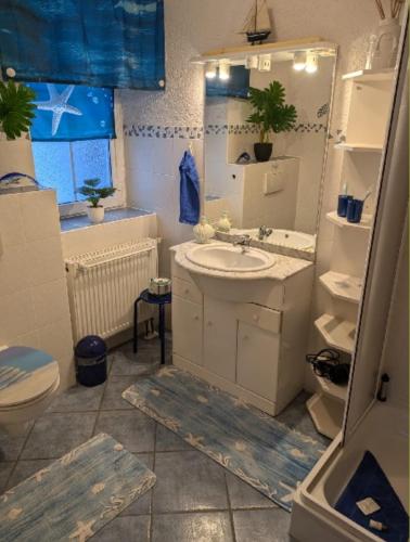 Ένα μπάνιο στο Ferienwohnung Reinhardt Steinhübel