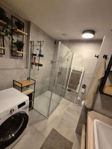 a bathroom with a shower and a washing machine at Apartmán Danadrin Family Evergreen Tále in Tale