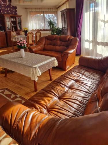 a living room with brown leather couches and a table at Clara Valis - Village House in Doľany