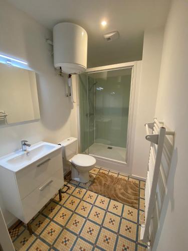 une salle de bain avec toilettes, lavabo et douche dans l'établissement L'Imprimerie A3, studio cosy au cœur de La Roche !, à La Roche-sur-Yon