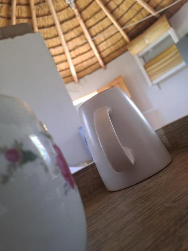 a bathroom with a white toilet in a room at Zamajobe Farmhouse in Jozini