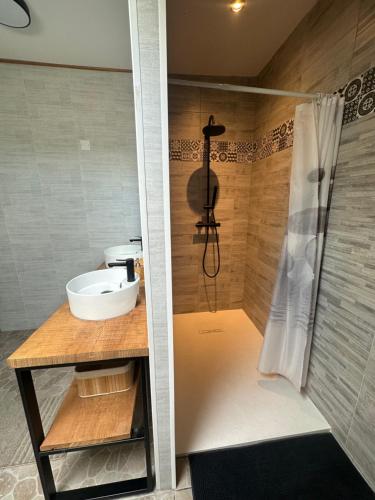 a bathroom with a sink and a shower at Appartement chaleureux proche des stations de skis in Pierrefitte-Nestalas