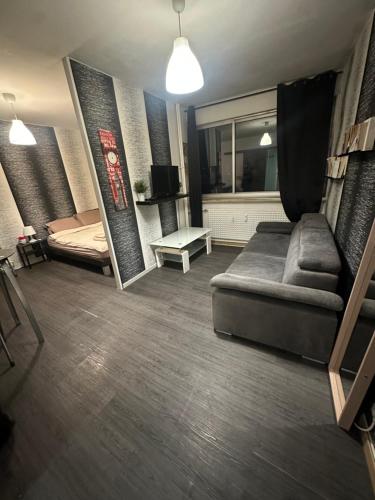 un salon avec un canapé et un lit dans l'établissement Appartement Centre ville, à Mulhouse