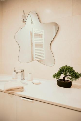 a bathroom with a mirror and a plant on a counter at Balili Home by the Sea in Ferrel