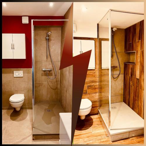 une salle de bain avec douche et toilettes dans l'établissement Le Duo Forézien - 2 Apts au RDC côte à côte - Proche gare et centre - Wifi, à Feurs