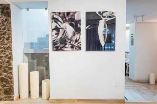 a room with white walls and photographs on the wall at Agata Hotel Boutique & Spa in Mexico City