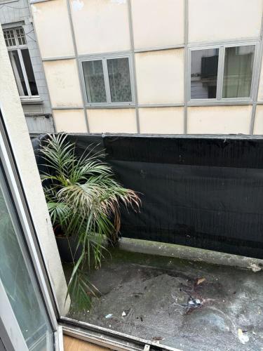 a view from the outside of a building with plants at Your Haven of Peace! in Brussels