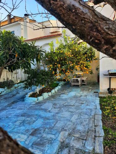 a stone pathway with orange trees and a building at La Casetta Blue in Pimentel