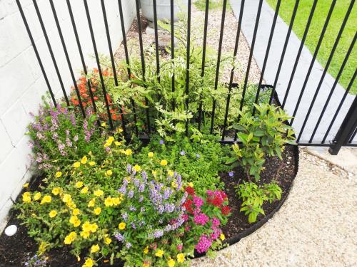 a garden of flowers in front of a fence at Tropic Coast Motel in Mackay