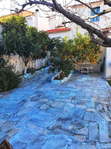 a stone walkway with oranges hanging from a tree at La Casetta Blue in Pimentel