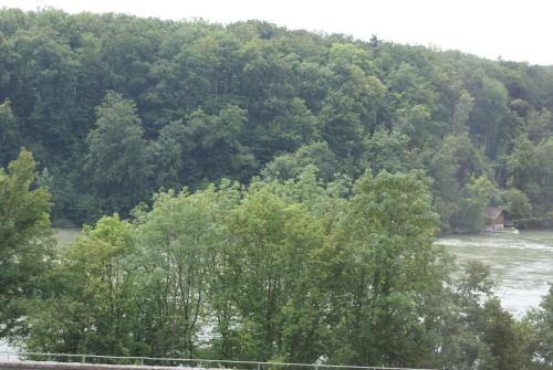 a view of a river with trees and a house at Hotel Storchen in Rheinfelden
