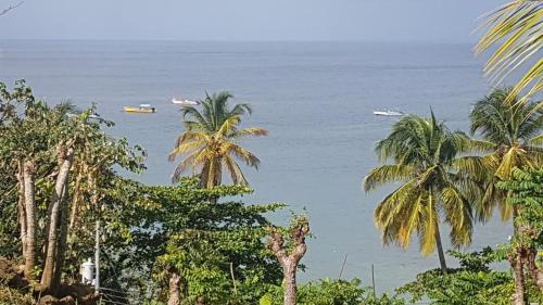 a view of the ocean with palm trees and boats at Castara Roundhouse - Ocean View in Castara