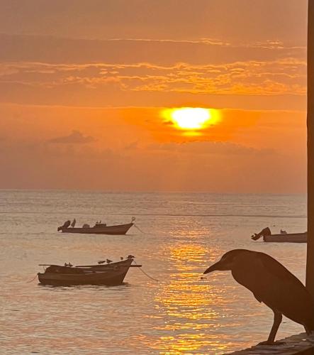 a bird standing on the beach with boats in the ocean at Castara Roundhouse - Ocean View in Castara