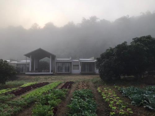 a house with a field of crops in front of it at Daraga ดารกะ in Chiang Dao