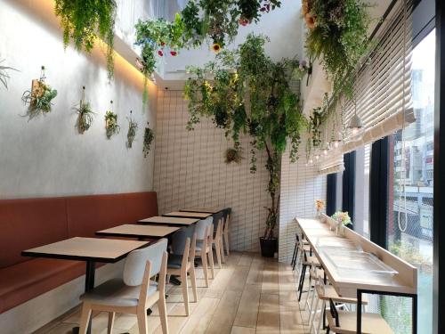 大阪市にあるジョイテルホテルなんば道頓堀の植物の並ぶレストラン