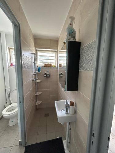 Ένα μπάνιο στο Duplex