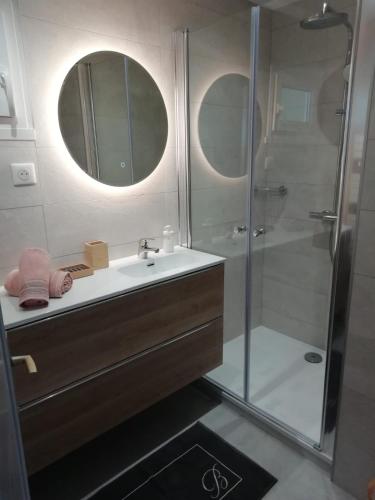 une salle de bain avec un lavabo et une douche dans l'établissement Entre Lac et Montagne, à Annecy