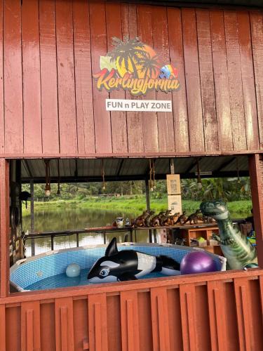 a toy shark in a pool in a play centre at Kerlingfornia Pond View Homestay in Kerling