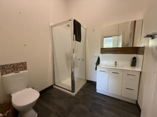 科布勒姆The Loft Cobram Hotel的带淋浴、马桶和水槽的浴室