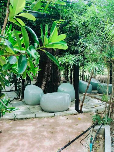 a garden with blue chairs and trees and a tree at สวนเพื่อคุณ รีสอร์ทแอนด์แคมป์ปิ้ง in Ban Don Wan