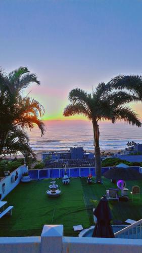 a view of a lawn with palm trees and the ocean at Sunset Roof in Margate