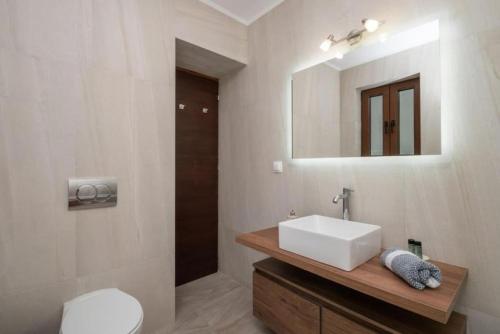 a bathroom with a sink and a toilet and a mirror at Artemis Oasis Villa with private Pool in Khartáta