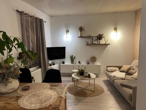 Superbe appartement hypercentre Royale Châtelet