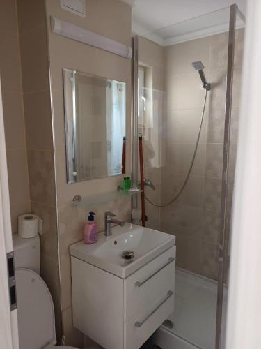 a bathroom with a toilet and a sink and a shower at apartament de inchiriat in loc Moinesti in Lucăceşti