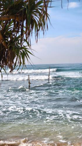 a view of the ocean with trees in the water at Mallis Guesthouse in Habaraduwa