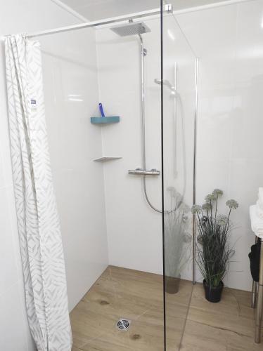 a shower with a glass door in a bathroom at Ferienwohnung Sauer in Tiefenbach