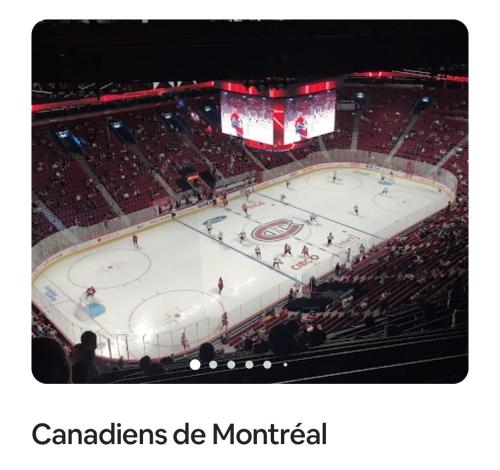 an overhead view of a hockey arena with a crowd at #2 - Big Loft - Plaza St-hubert in Montréal