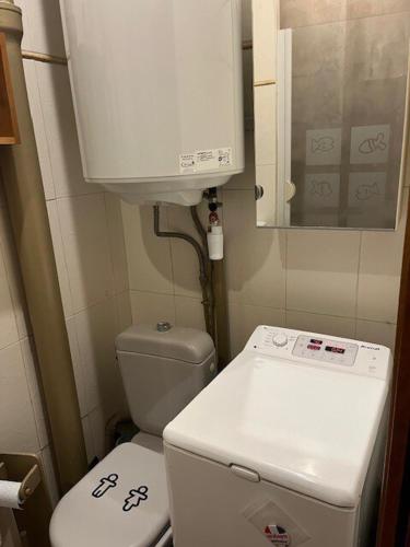 Elle comprend une petite salle de bains pourvue de toilettes et d'une armoire. dans l'établissement Appartement charmant à Paris 20 eme, à Paris