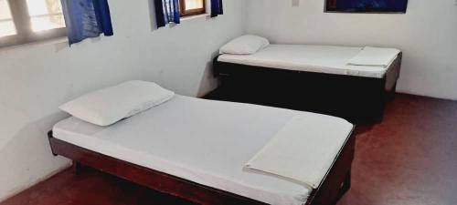 Gallery image of Oasis Beach Inn in Jambiani