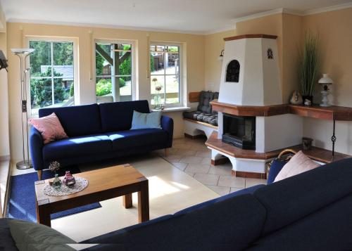 a living room with a blue couch and a fireplace at Exklusives Ferienhaus "Waldzauber" Ruhe und Natur pur am Waldrand genießen in Schönheide