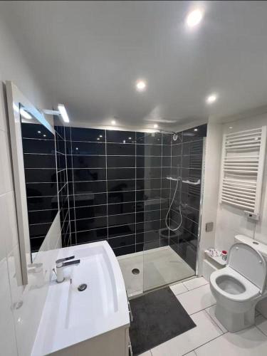 une salle de bain avec une douche, des toilettes et un lavabo dans l'établissement Superbe appartement PROCHE CENTRE VILLE, à Cannes
