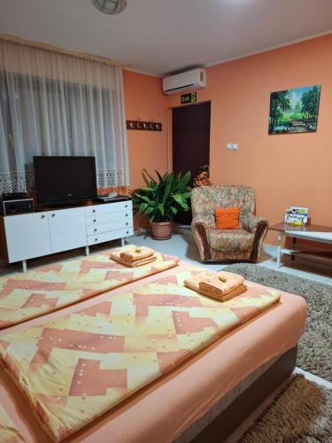 a living room with a large bed and a tv at Nela Apartmani in Niš