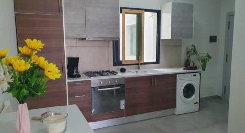 Kuchyň nebo kuchyňský kout v ubytování Sal Rei apartaments, Boa Vista, free WI-FI