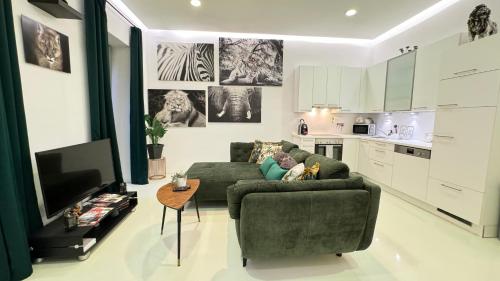 a living room with a green couch and a television at African Paradise with Jacuzzi & Sauna in Vienna