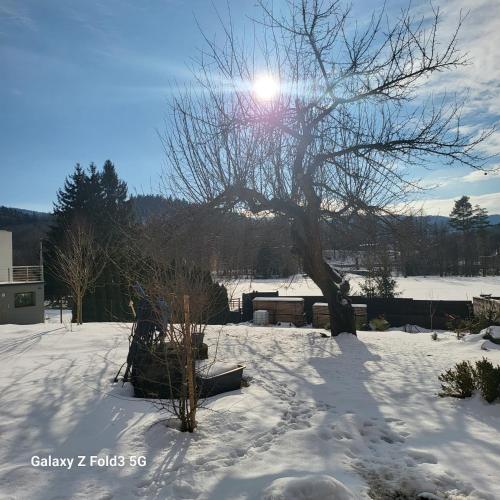 a snow covered yard with a tree with the sun in the background at Beskiden Prime Exclusiv Chalets in Prostřední Bečva