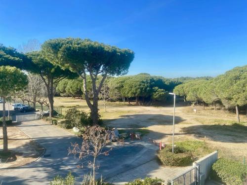 - une vue sur un parc arboré et une rue dans l'établissement Studio le cosy, clim, Wi-Fi, terrasse, LGM parking, à La Grande Motte