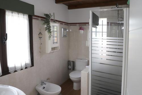 a bathroom with a toilet and a sink and a mirror at Casa vacacional Escuela la Llera in Colunga