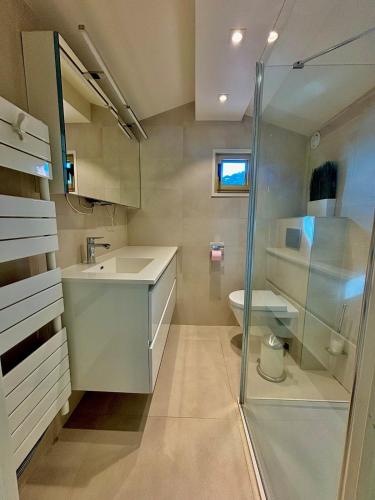 une salle de bain avec une douche, un lavabo et des toilettes dans l'établissement Appartement avec vue sur le port de la Figueirette, à Théoule-sur-Mer