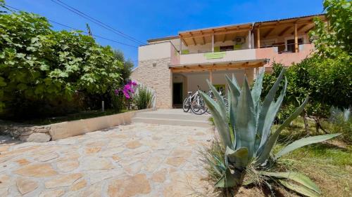 una casa con una pianta davanti di Stone & Sun Retreat with Private Pool a Rupalj