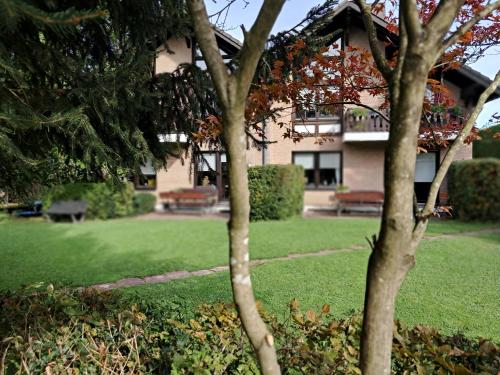 a house with a tree in front of a yard at Alt Monjoie in Roetgen