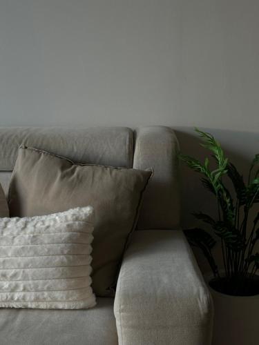 a couch with a pillow and a plant on it at Entire apartment near train station with pool & views in Ban Song Hong
