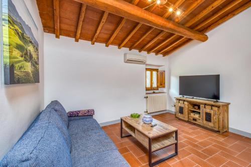 a living room with a blue couch and a tv at Vigna Home Amazing Site Chianti Classico - Happy Rentals in Strada