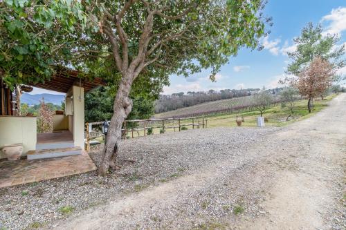 a house with a tree next to a dirt road at Vigna Home Amazing Site Chianti Classico - Happy Rentals in Strada