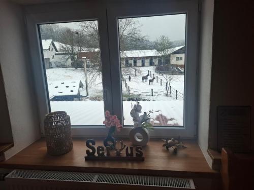 a window with a view of a snow covered yard at Wohnung Aussicht in Wald