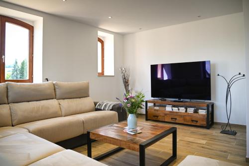 TV a/nebo společenská místnost v ubytování Grande maison de vacances L'Orée des Vignes