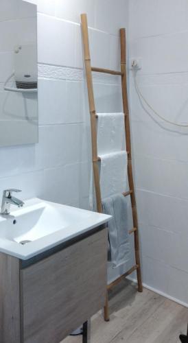 La salle de bains est pourvue d'un lavabo et d'une échelle de serviettes. dans l'établissement appartement cosy, à Romans-sur-Isère